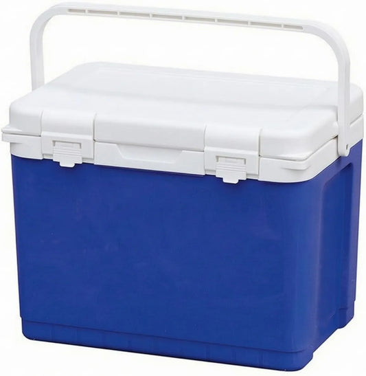 Ronyme Frigorífico elétrico, transporte de insulina e medicamentos, mini frigorífico portátil, suporte de amostra médica isotérmica Caixa isotérmica Transporte